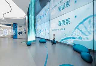 山东国内玉米压片机