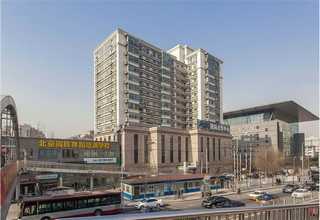 普陀区金骏眉武夷红茶网